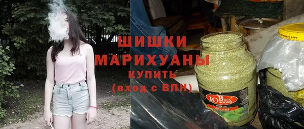 трава Арсеньев