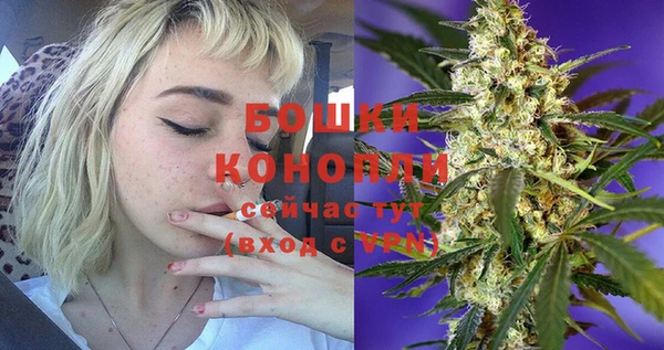 трава Аркадак