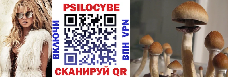 Галлюциногенные грибы Cubensis  где продают наркотики  Судак 